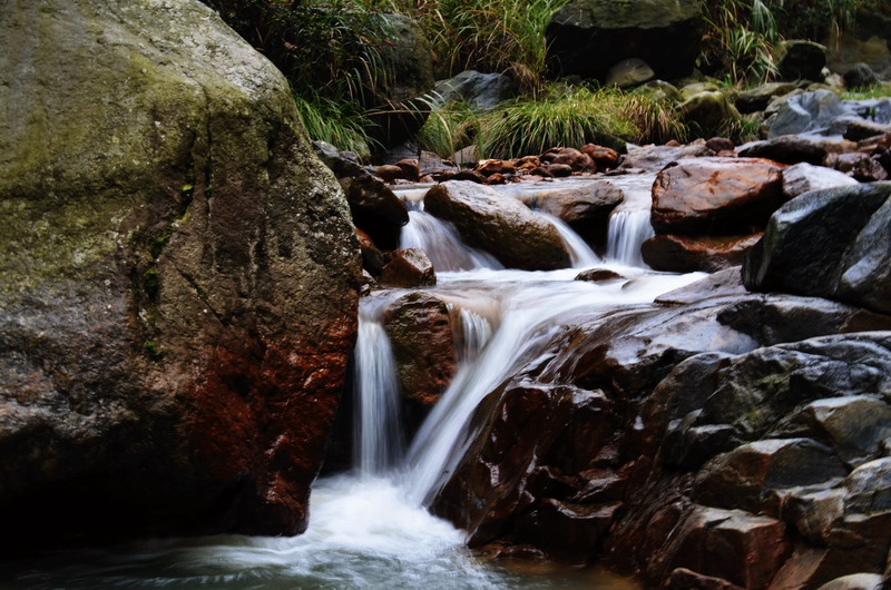 圈椅淌湿地溪水