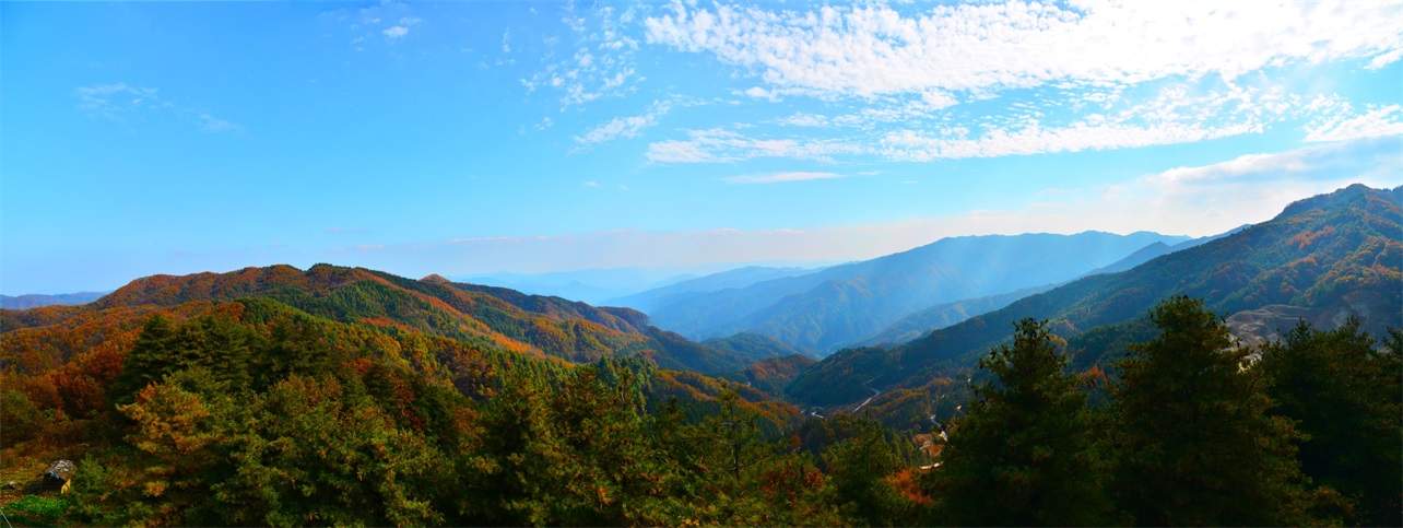 圈椅淌秋日全景