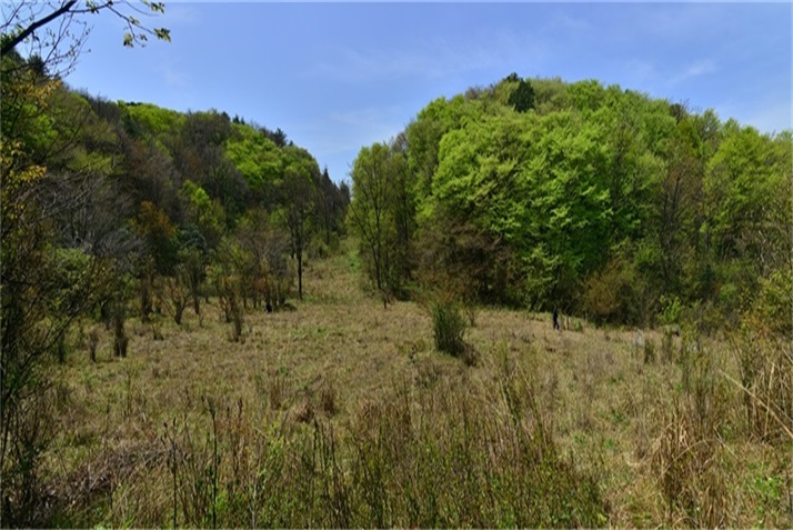 春日江山丽  春风花草香