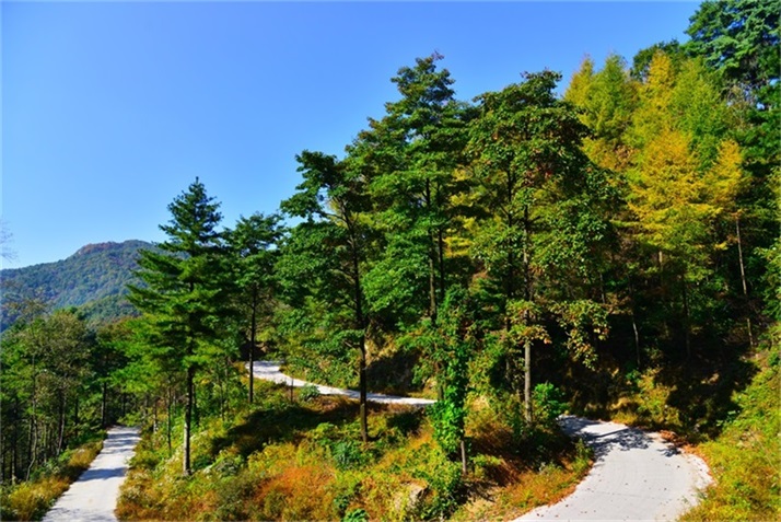 色彩斑斓皆秋色